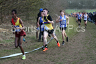 Mens under-17s 2019 British Athletics Inter Counties Cross Country, Prestwood Hall, Loughborough. Photo:  David T. Hewitson/Sports for All Pics